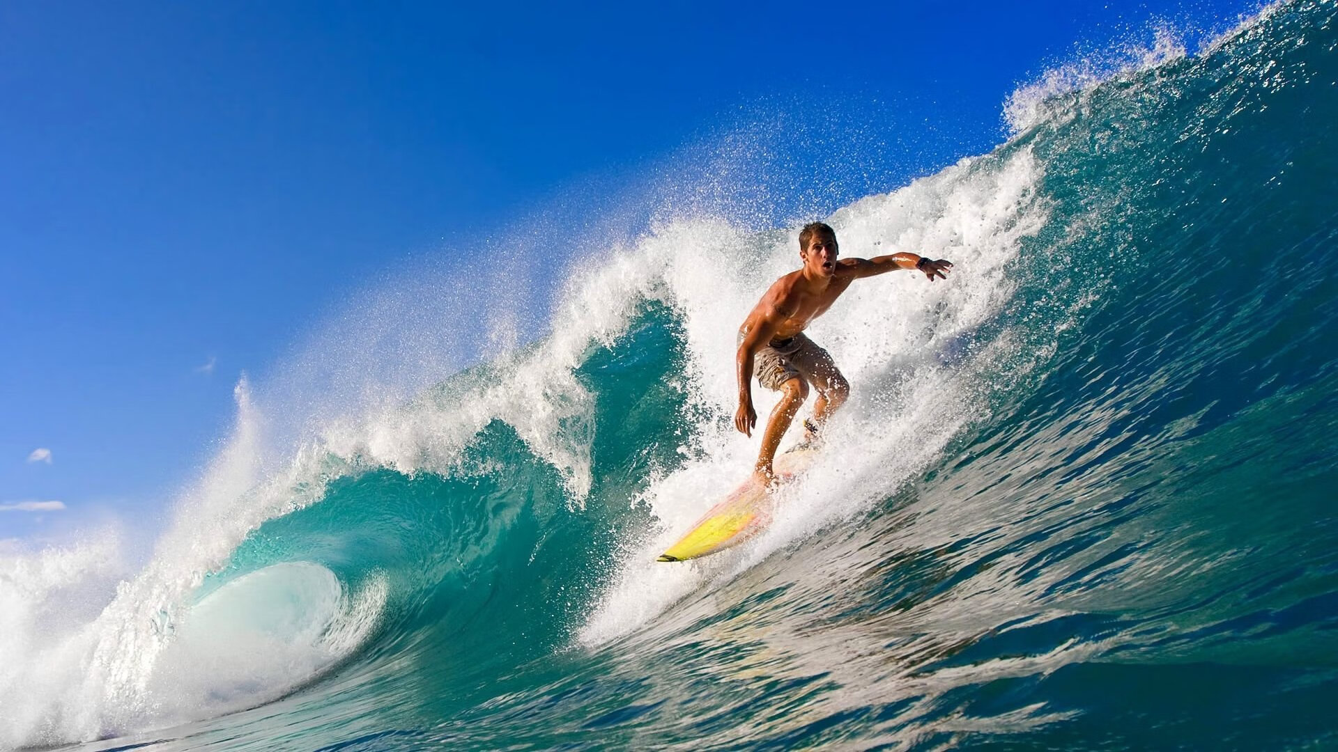 赛季最佳新秀评选，观察家预测热门人选，上赛季最佳新秀是谁