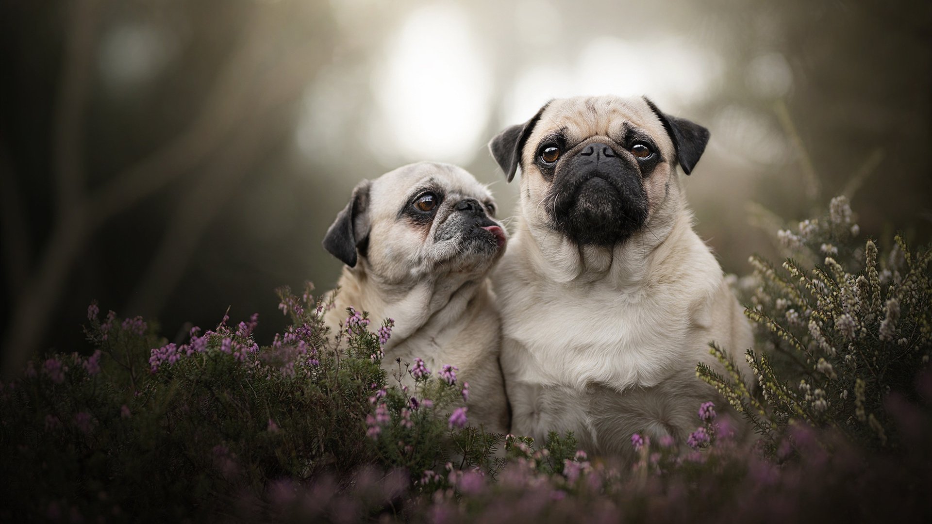 开云体育官方网入口-【奥沙利文】传奇球手的复出之路，战术打法全面解析，奥沙利文的击球动作